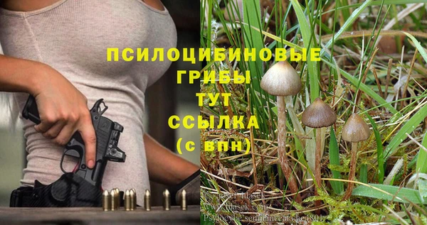 каннабис Алексеевка