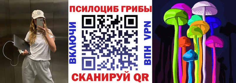 купить   Борзя  Галлюциногенные грибы прущие грибы 